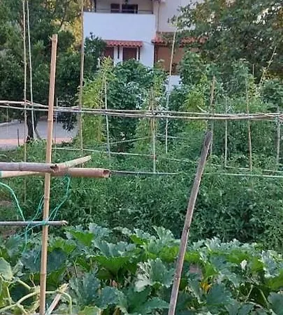 Vila Diamond Farm *