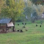 Diamond Farm Vilă
