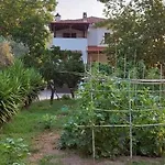 Diamond Farm Vilă