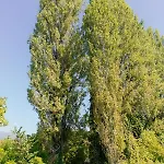 Diamond Farm Vilă Kala Nera