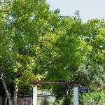 Diamond Farm Vilă