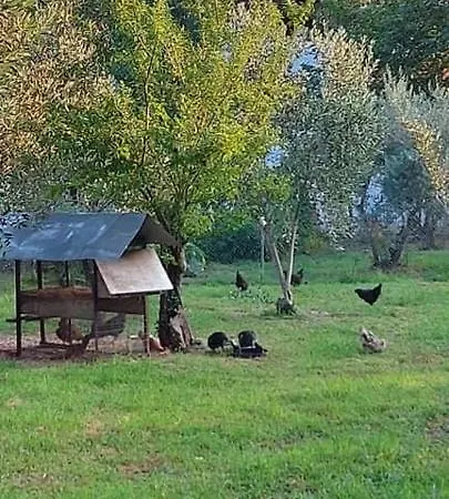 Diamond Farm * Kala Nera
