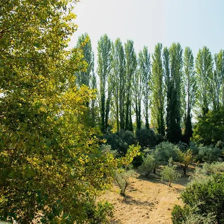 Vilă Diamond Farm *