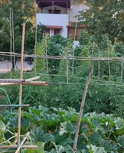 别墅 Diamond Farm *