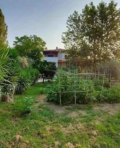 Diamond Farm 卡拉内拉