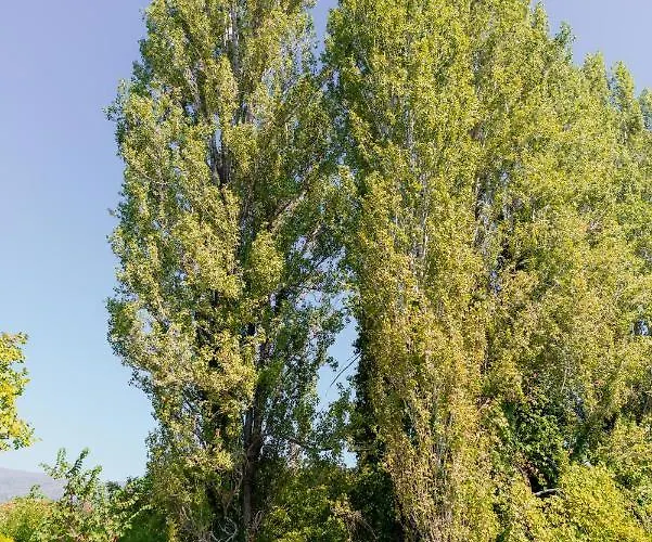 Diamond Farm 别墅 卡拉内拉